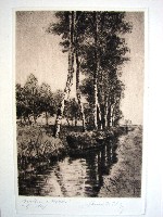 Georg Harms R�stringen Birken im Moor 7314d