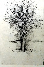 Peter Fetthauer 63621d