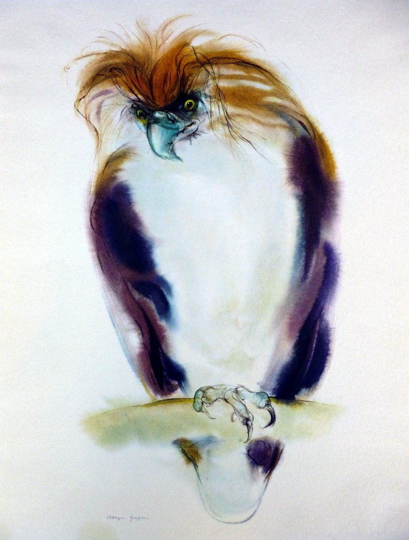 MeyerGasters Klaus 1925 Ludwigshafen