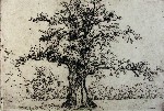 Ferdinand Steininger 6508d Ferdinand Steininger 6508d