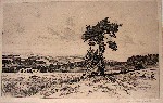 Hans Sch�fer Creu�en 5296d