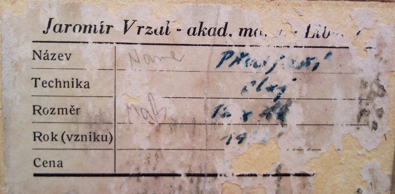 Jaromir Vrzal 282X
