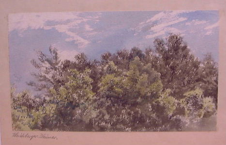 Weichberger11