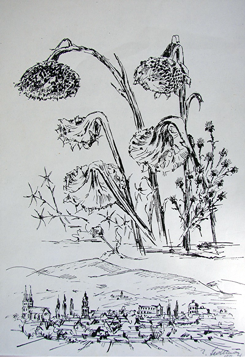 Sedlmayr 5544x