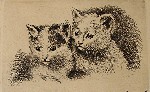 Katzen 41461d