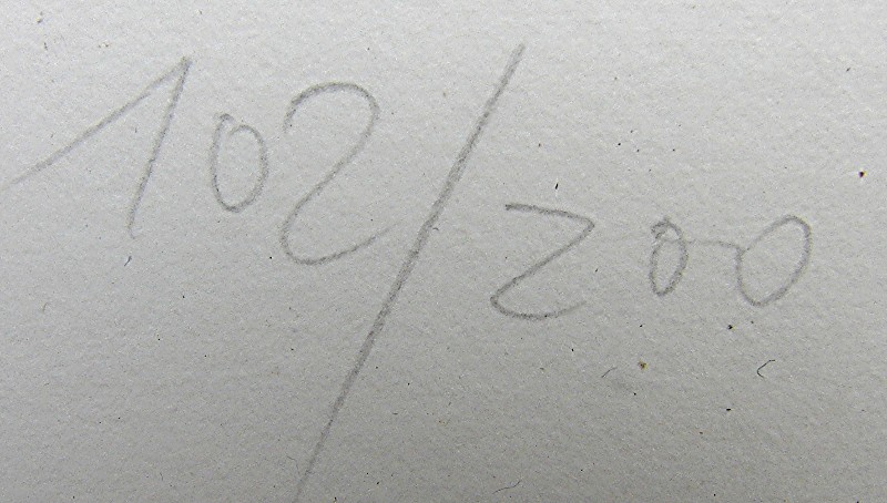 Lithografie 6034x