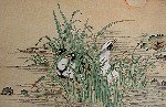 Enten unsigniert 6010d