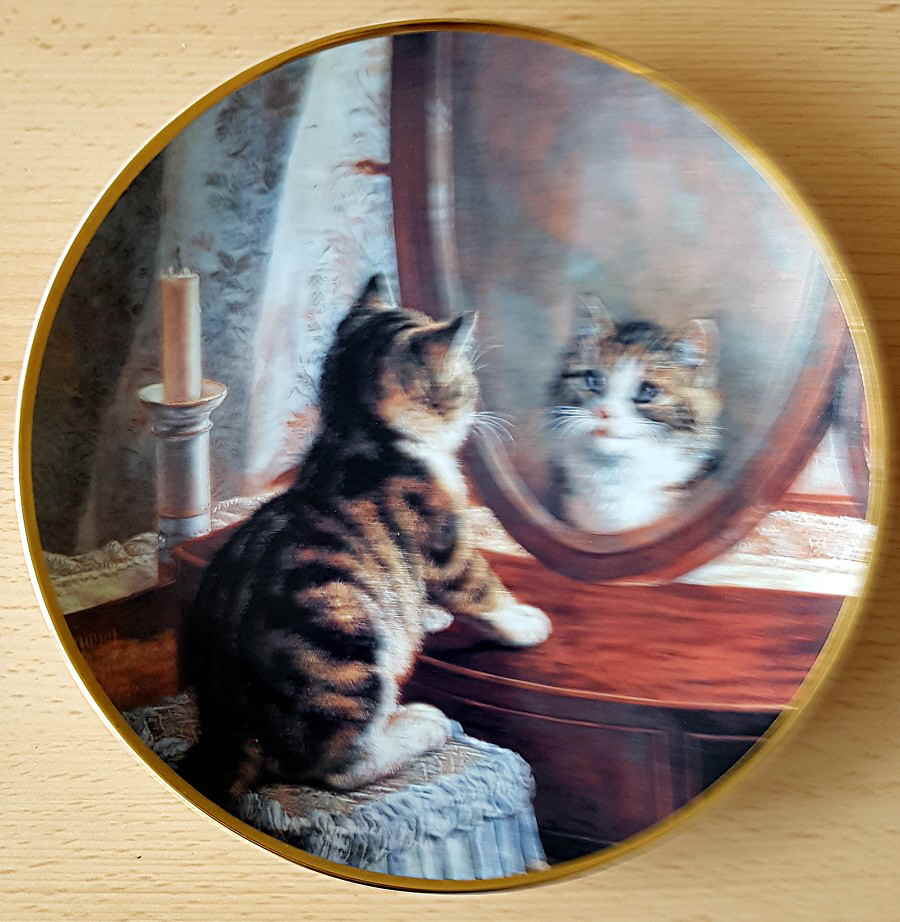 2 Katzenmotiv Picture Perfect von Frank Paton 18x