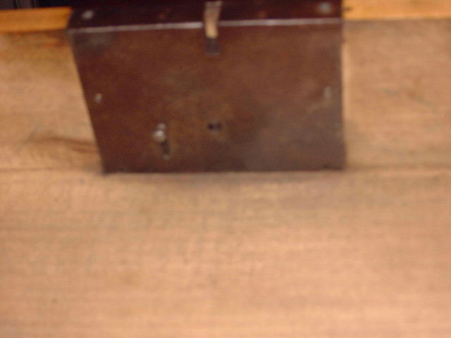 Birke1a