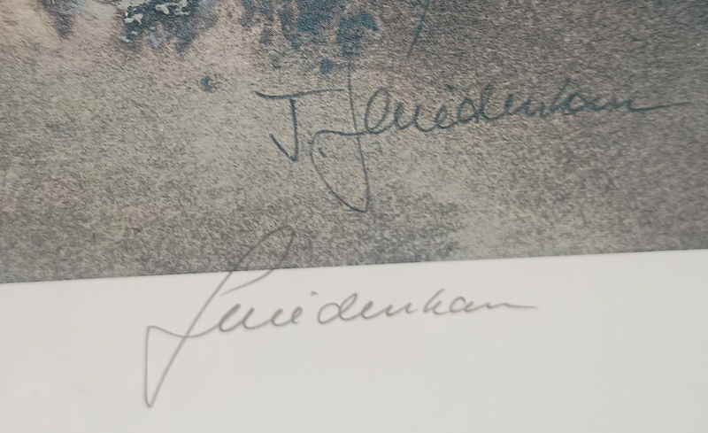 Irmtraud Schniedenharn siebdruck 253920x