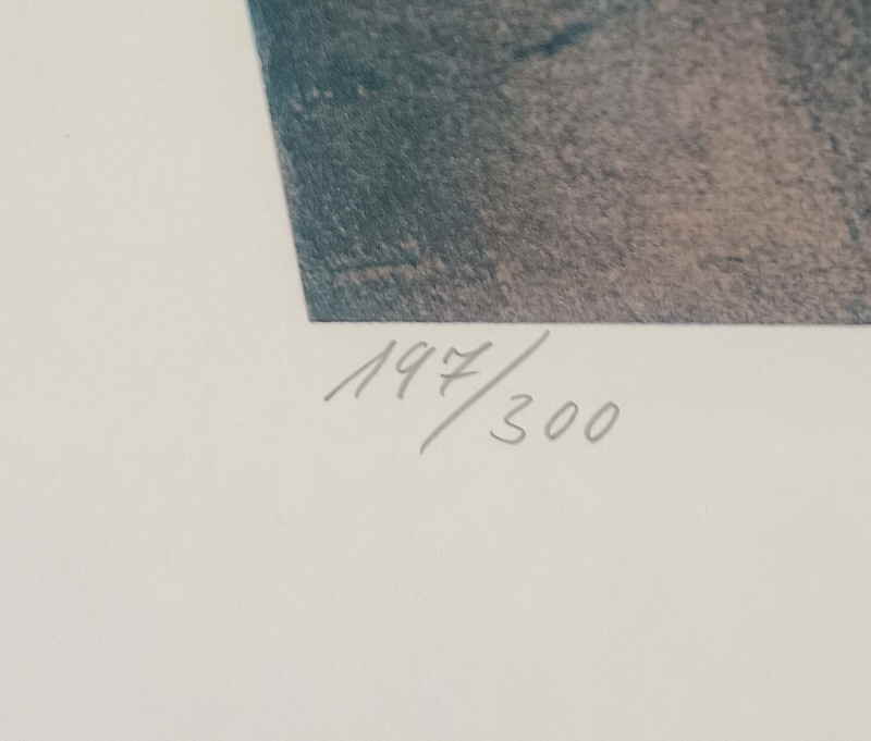 Irmtraud Schniedenharn siebdruck 256846x