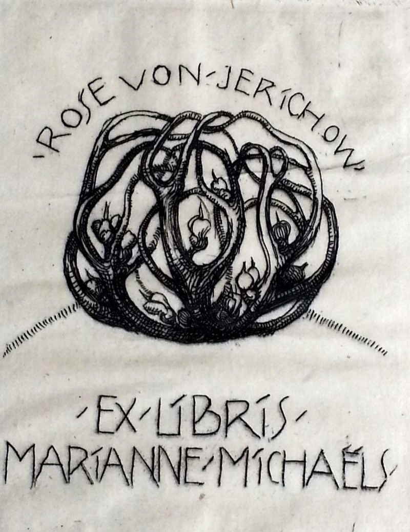 Marianne Michaels Rose von Jericho 1x