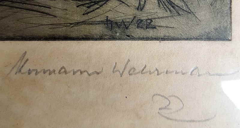 Wehrmann Hermann 24x