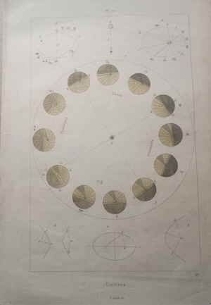 Guerin Meneville Felix Edouard Univers  Naturgeschichte Enzyklop�die 245160d