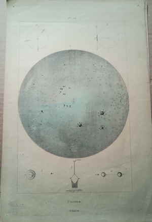 Guerin Meneville Felix Edouard Univers  Naturgeschichte Enzyklop�die 314767d