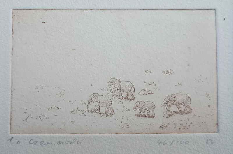 Erika von Czarnowski 513417x