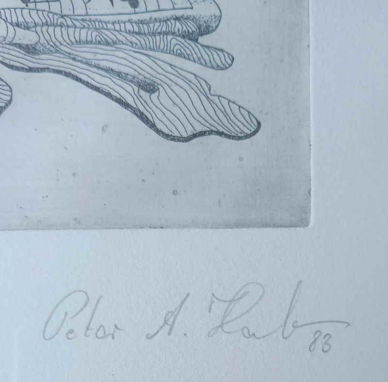 Peter A. Haub 907514x