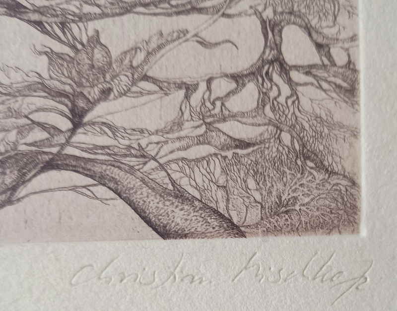 Christian Mischke 515106x