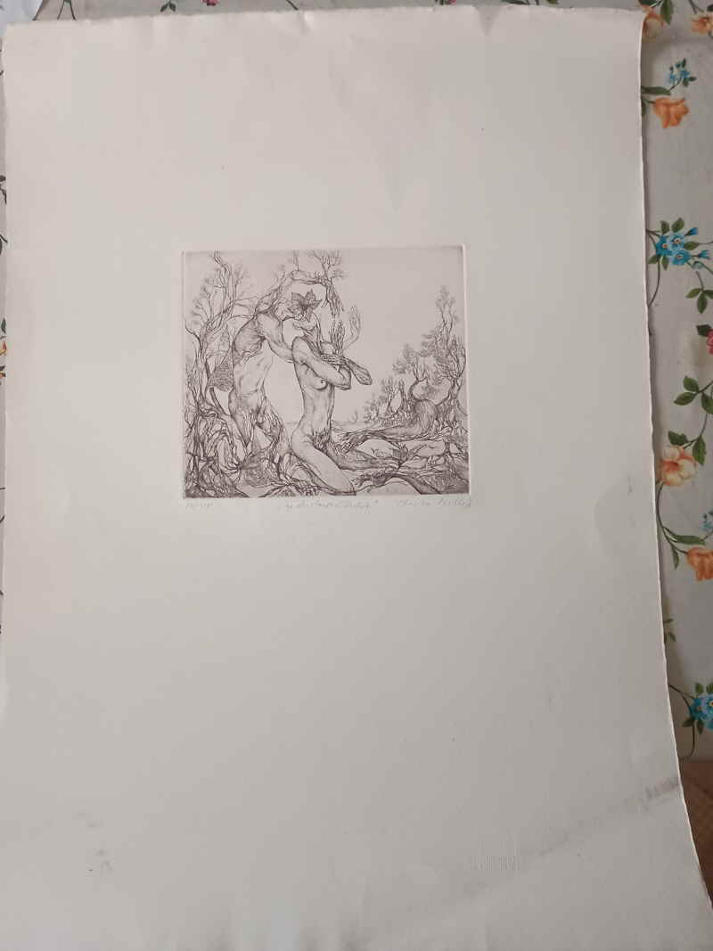 Christian Mischke 533301x