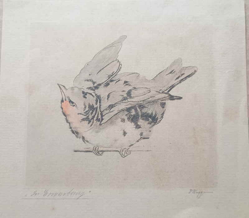 Rogge Emy 114_124013263x