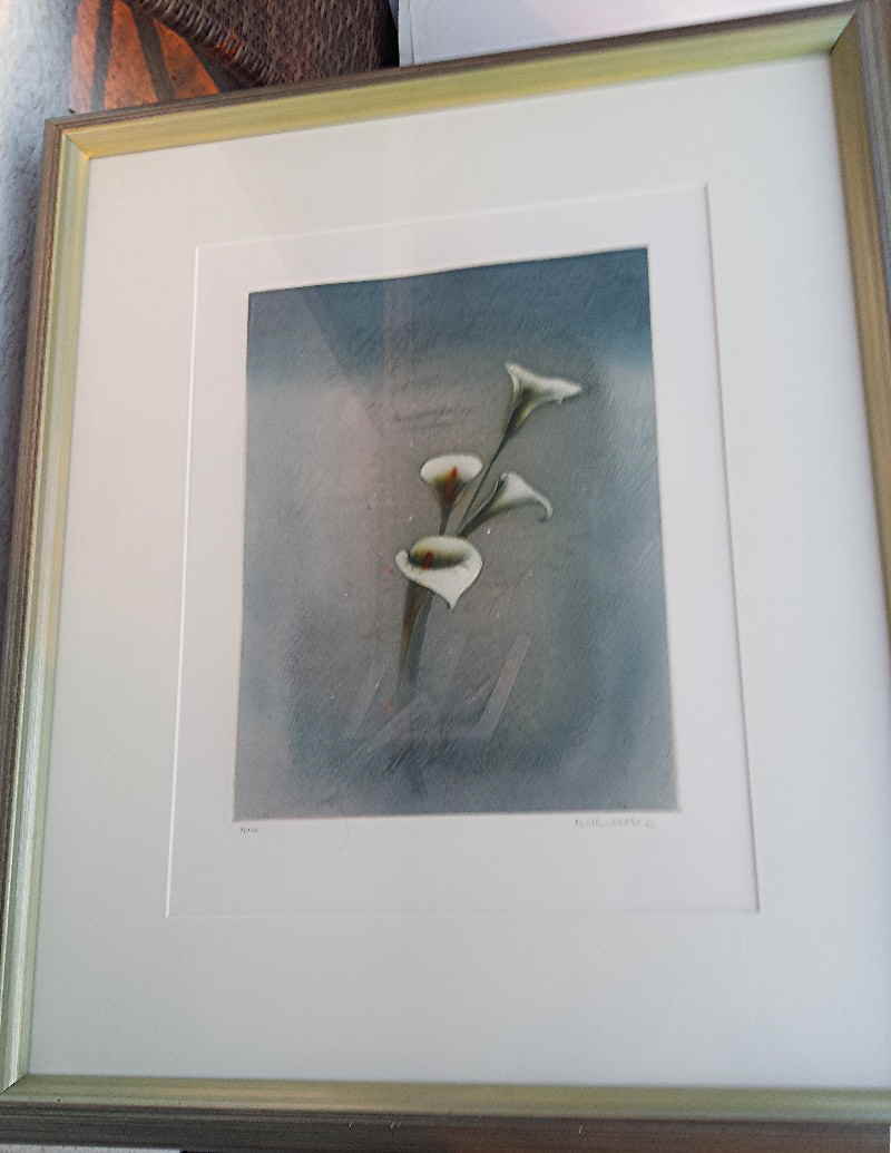 Schmidt - Stein Michael Farbradierung Calla  _173621x