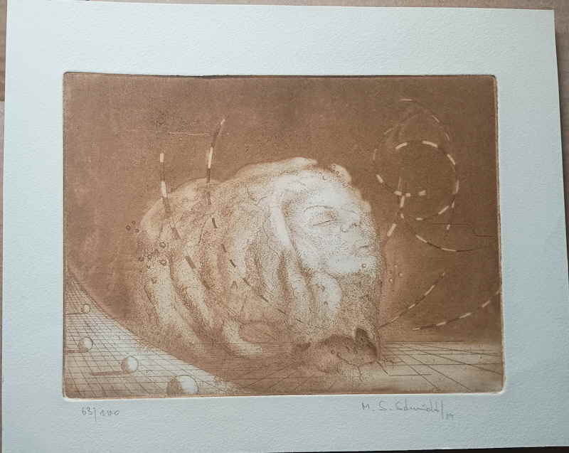 M.S. Schmidt 222133x