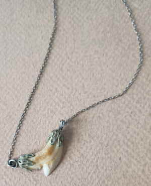 112 Silber Kette mit Haifisch Zahn 137946d 112 Silber Kette mit Haifisch Zahn 137946d