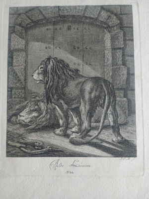 2 Alte L�wen Johann Elias Ridinger Kupferstich 4841549d