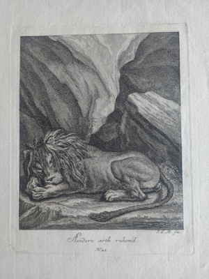 4 Andere art ruhend Johann Elias Ridinger Kupferstich 599d