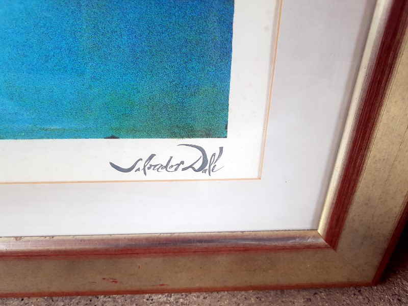 Salvador Dal� 12x
