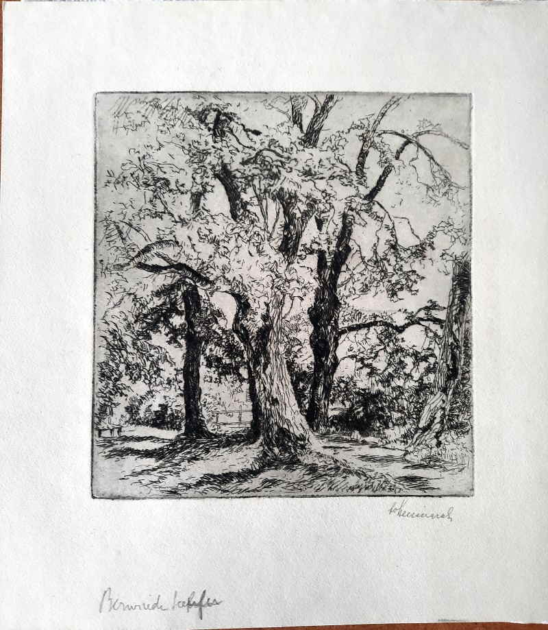 Berthold Hellingrath Baum Bernried am Starnberger See 924x