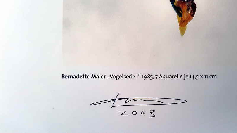 Bernadette Maier 705x