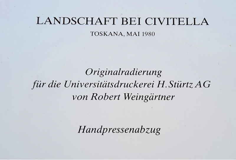 Robert Weingrtner 916x