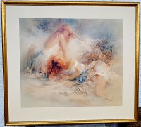 Willem Haenraets 6d