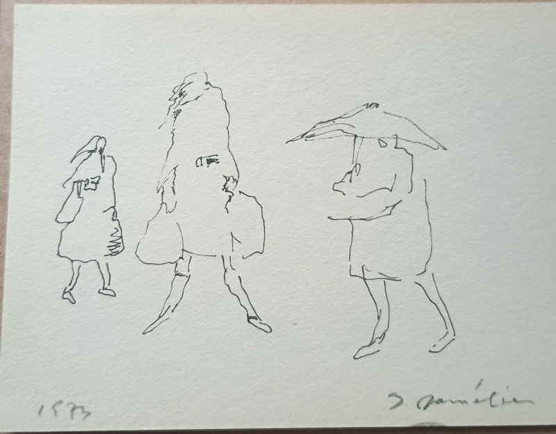 Feder Zeichnungen 544667x