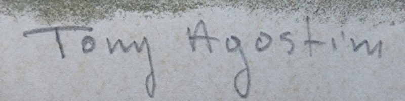 Tony Agostini 693x