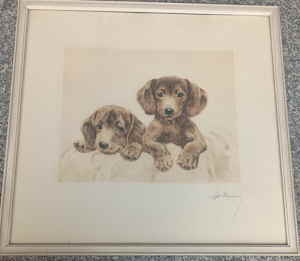 Kurt Meyer-Eberhardt Hunde Welpen Dachshund 202d Kurt Meyer-Eberhardt Hunde Welpen Dachshund 202d