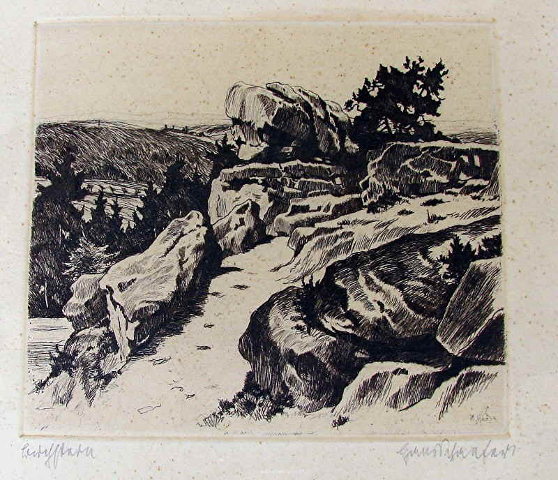 Hans Schäfer 2364X