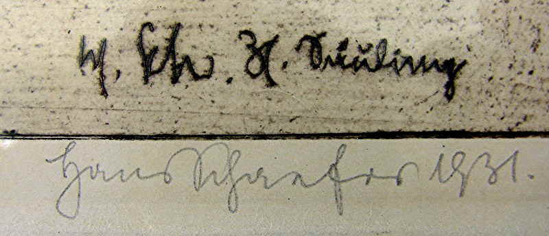 Hans Schäfer 3359X