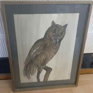 Eule Monogramm Gp 923202d