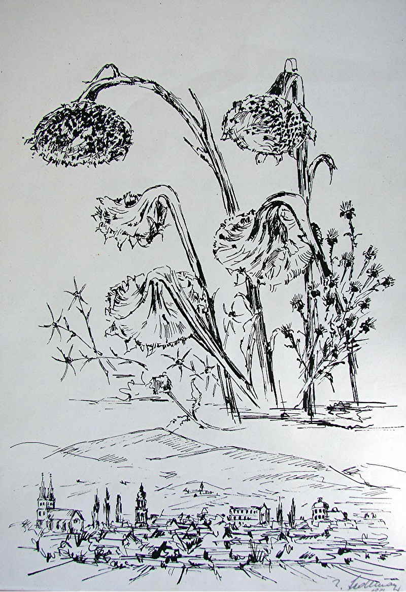 Sedlmayr 5544x