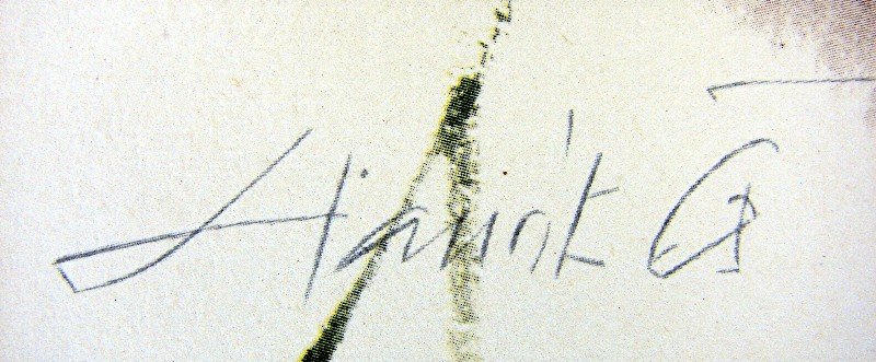 Lithografie Marder Japan 6007x