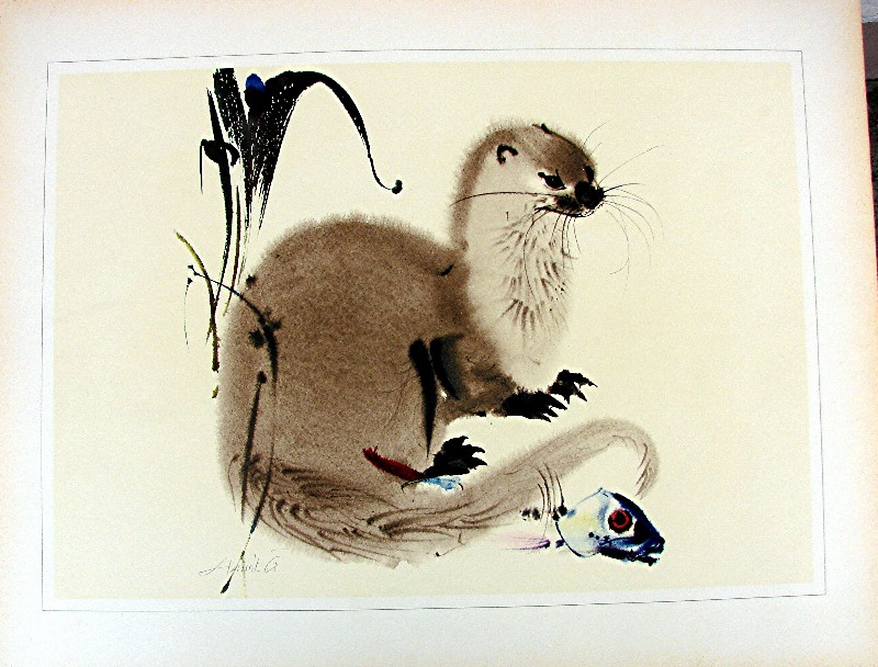 Marder Japan Lithografie 6008x