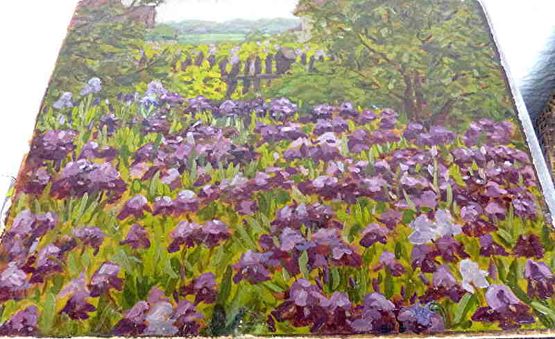 Garten Iris 50500x