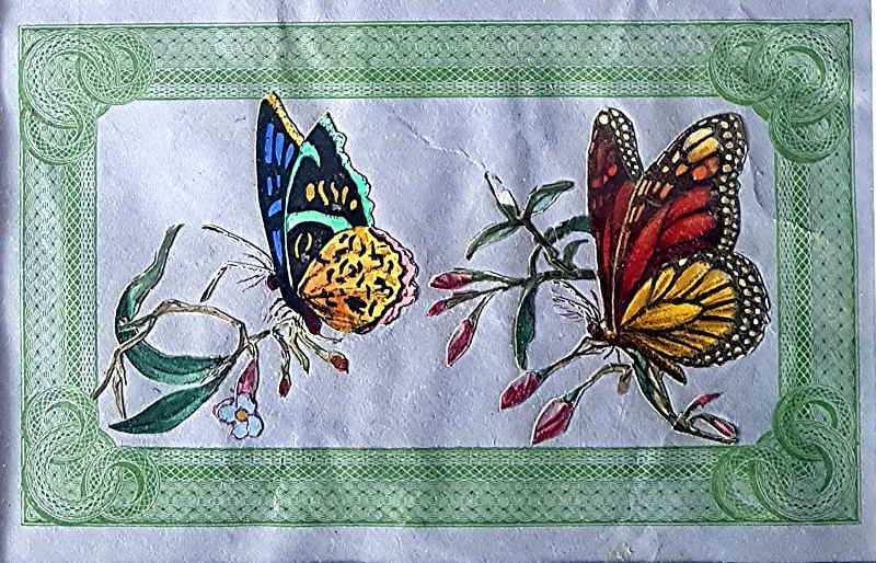 Biedermeier Schmetterlinge 117x